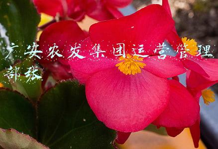 北京广安门医院张培彤(北京六位名中医3月扎堆来哈尔滨出诊，看看他们治啥病是专长？)