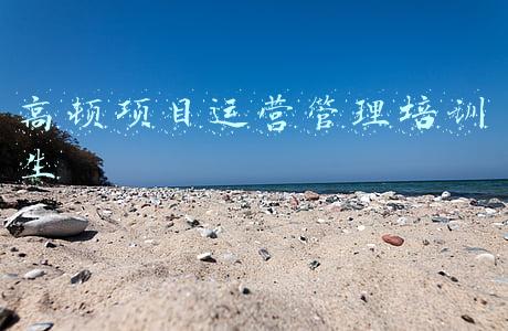 高顿的项目管培生前景怎么样(月薪5000的五大行柜员，月薪15000的外资管培生，你怎么选？)