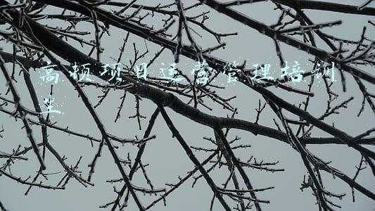 银行管理培训生(梦想靠岸”招商银行2022管理培训生招聘公告)