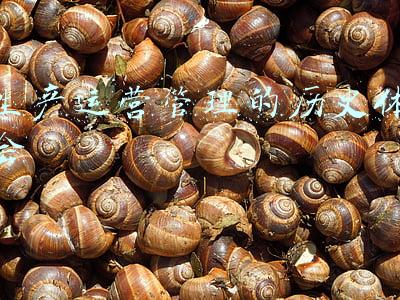 生产运营管理的历史体会