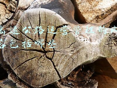 高速公路安全培训内容(开学第一课丨中小学生（幼儿）交通安全开学八讲)