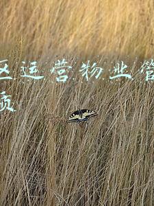 物业管理监管和服务平台(在为民办实事中践行初心使命——青岛首个使用智慧物业管理服务平台小区成功召开业主大会)