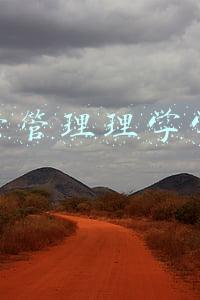 运营管理研究生(考研大热专业！初试均分380！企业管理考研大解析！跨考需谨慎)