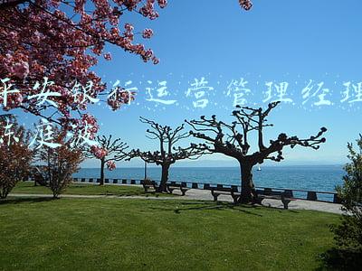 平安银行运营管理经理陈庭波