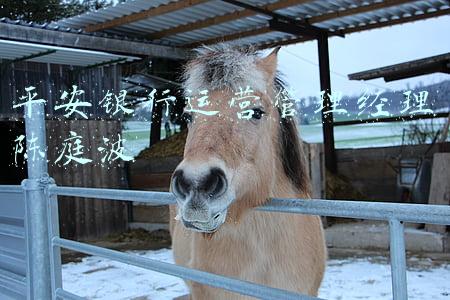平安银行 段军(首家电竞主题银行门店开业！哔哩哔哩电竞×平安银行玩出新高度)