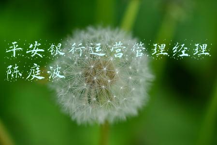 平安银行个贷经理(平安银行挂牌11.5亿元个贷不良“超级大包”起拍价0.2折创新低)