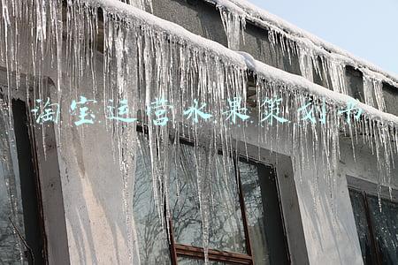 淘宝水果店铺介绍(想开个淘宝店卖水果，需要哪些条件和证件？)