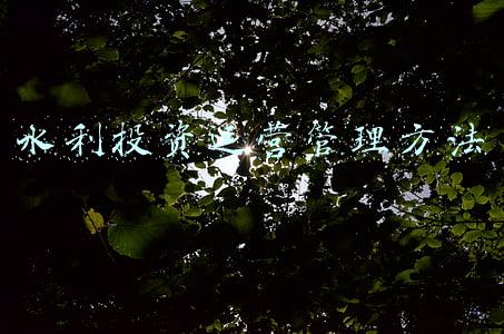水利投资运营管理方法