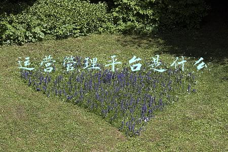 运营管理平台是什么