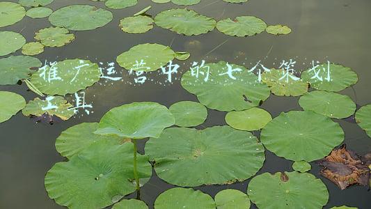 推广运营中的七个策划工具