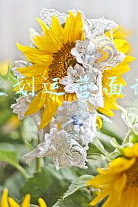 网站策划运营面试问题