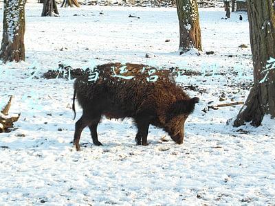 新乡滑雪场哪里好(盘点2022年郑州周边滑雪场之—新乡五龙山滑雪场)