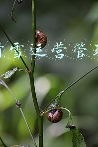 新乡振动筛生产厂家(新乡超声波振动筛-提高筛分效率和处理量)