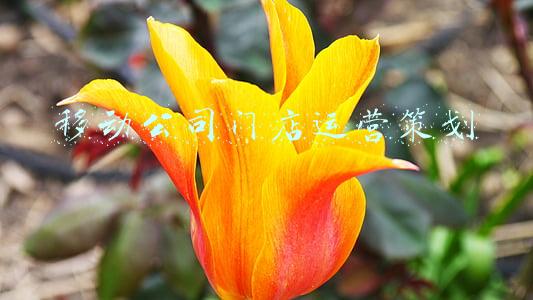 移动公司活动策划方案(昂扬奋进正当时 菏泽移动2021年干了这“十件大事”)