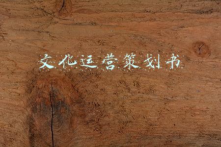 文化运营策划书