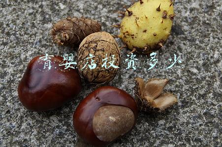 育婴店投资多少