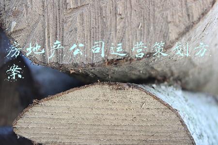 房地产全程策划(「财务管理」房地产项目开发全过程策划报告（含投资估算财务分析)