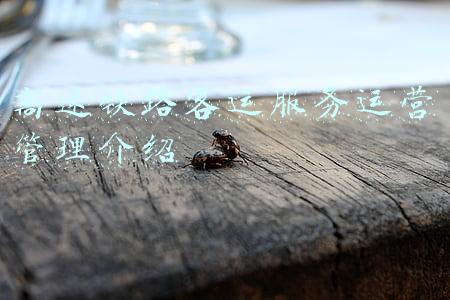 高速铁路客运服务工作的基本要求(交通运输部：五方面做好春运疫情防控和运输服务保障工作)