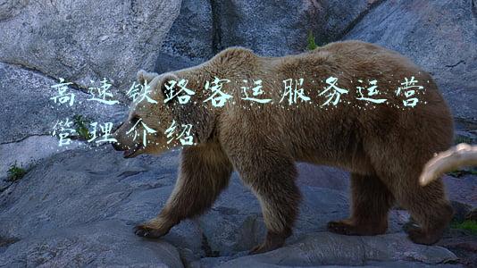 高速铁路客运服务英语(2022高考寒假冲刺：高中英语必修1-选修8重点单词短语大汇总)