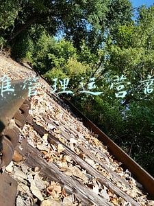 管运营商的是哪个部门(洛阳长城宽带频遭投诉，到底归哪管？省通信管理局：约谈多次也处罚过)