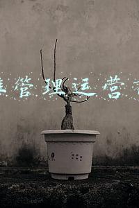 健康管理服务运营商(健康中国行动推进委员会办公室关于推介健康中国行动推进典型经验案例的通知)