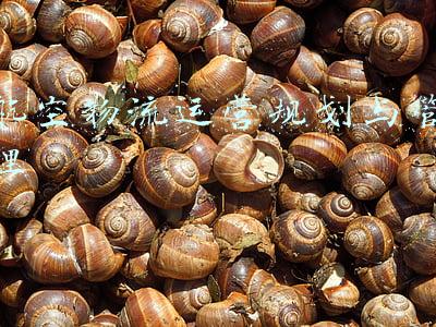 航空物流运营规划与管理