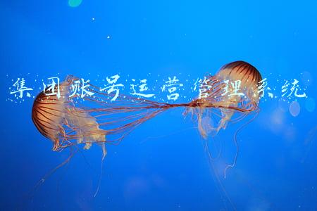 集团账号运营管理系统
