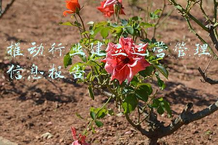 推动行业建立运营管理信息报告