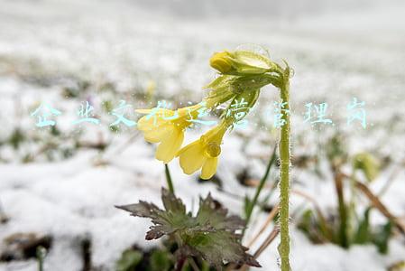 企业文化管理岗(北京蓝领薪酬施行“新八级”岗位绩效工资)