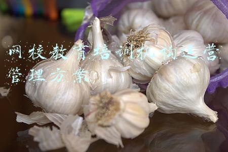 会计网校会计培训机构(中华会计网校更名正保会计网校，新商标注册申请中)