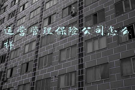 运营管理保险公司怎么样