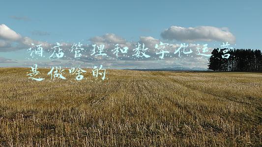 酒店管理和数字化运营专业学什么(高职扩招热门管理类专业（数据与财务管理、旅游管理、酒店管理）)