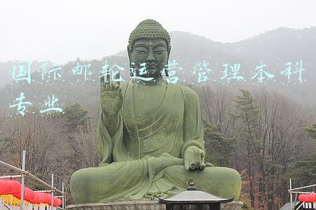 邮轮工程与管理专业介绍(高考热门报考本科专业类TOP30！薪资最高的竟是这类专业)