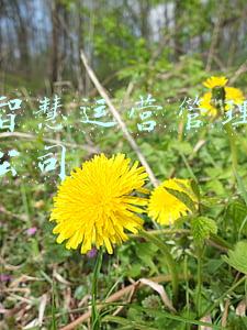 源泰智慧运营管理有限责任公司 源泰智慧运营管理有限责任公司