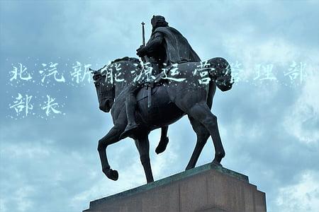 北汽新能源运营管理部部长