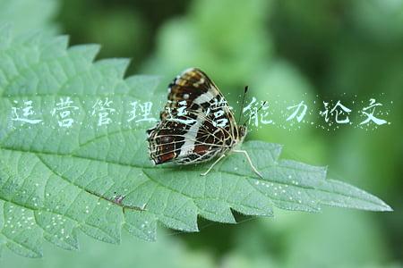 营运能力研究(小文具里的千亿生意经)
