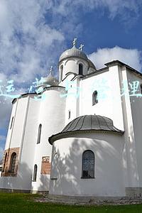 体育运营与管理专业(「单招必看」男生和女生单招选报什么专业好？)