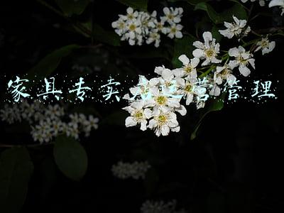 家具专卖店运营管理