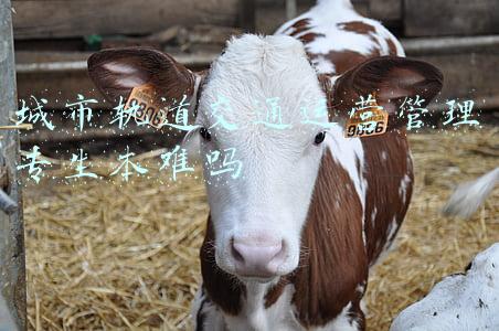专科城市轨道交通运营管理好就业吗(高考填报轨道交通运营管理专业毕业后就业环境怎么样)