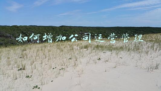 如何增加公司运营管理