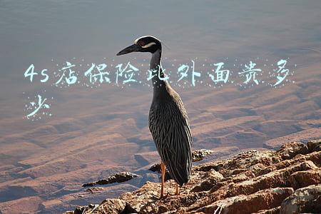 4s上保险一般贵多少-4s店上保险贵多少