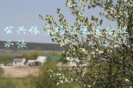体育场地管理制度(两部门发文！支持体育场馆免费或低收费开放)