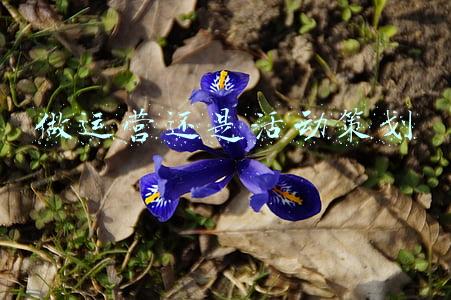 什么是活动运营(活动运营是做什么的？1万字说透活动执行的完整流程)