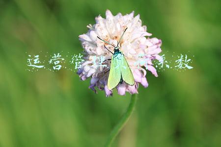运营负荷什么意思(昆仑能源(00135.HK)上半年实现净利204.61亿元 同比增长765.89%)
