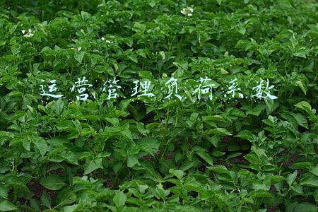 运营管理服务费(天猫托管运营都收多少服务费？)