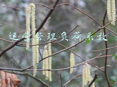 运营管理服务中心(水富市城市运营管理服务中心揭牌)