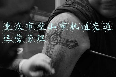 轨道璧山站(轨道交通璧山站进入收尾调试施工 将于年内建成)