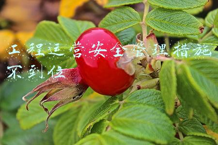 工程运营安全管理措施不到位