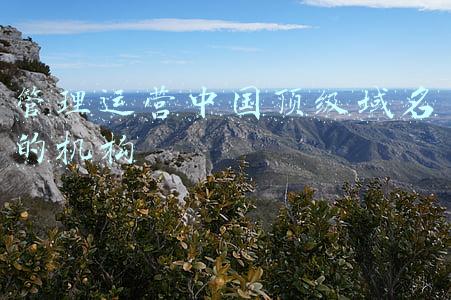 中国域名管理机构是(关于中文域名的“前世今生”，你了解多少？)