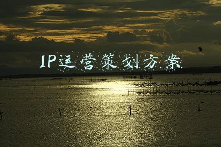 IP运营策划方案